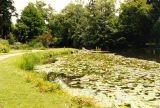 Der Park des Botanischen Garten in Bonn.